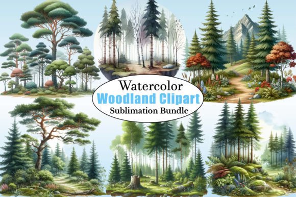 Download Watercolor Forest Clipart - Woodland Png - Forest Collection