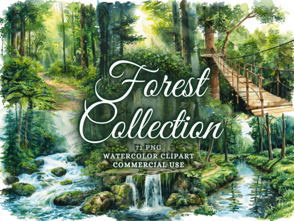 Download Watercolor Forest Clipart - Woodland Png - Forest Collection
