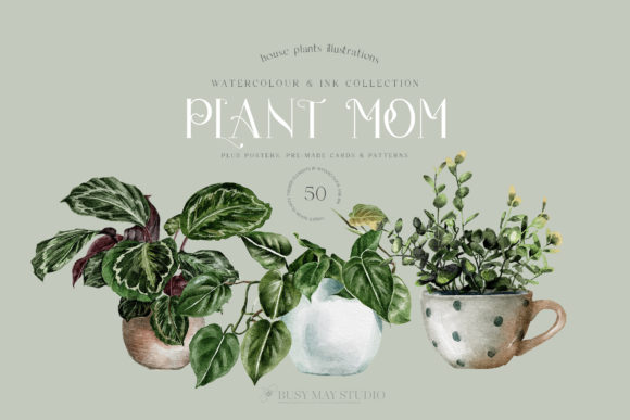 Download House Plants Illustrations and Patterns - Illustrations Collection
